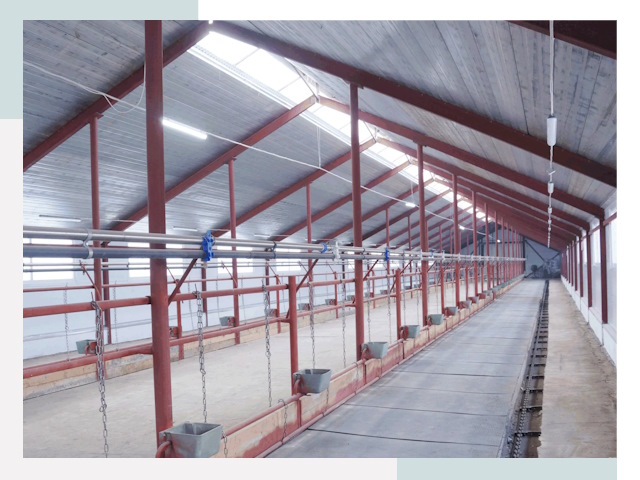 Строительство коровников в Благовещенске от 609 руб.