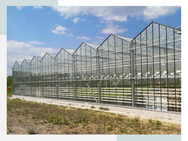 Строительство теплиц в Благовещенск от 609 руб. за м²